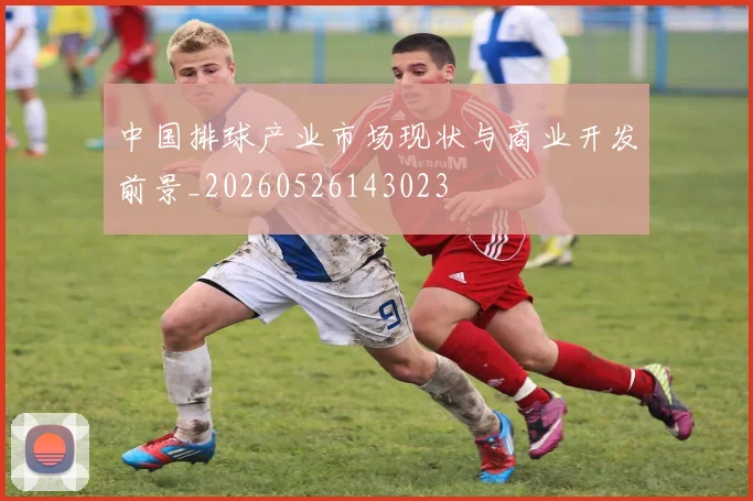 中国排球产业市场现状与商业开发前景_20260526143023