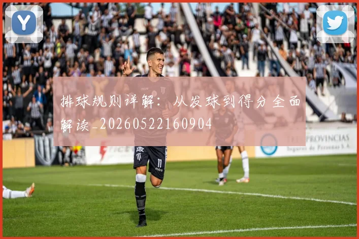 排球规则详解:从发球到得分全面解读_20260522160904