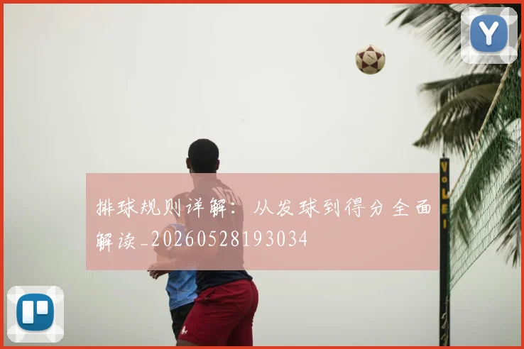 排球规则详解：从发球到得分全面解读_20260528193034